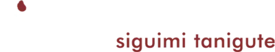 Logo Instituto Siguimi Tanigute